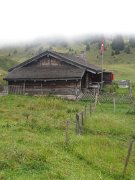 yolande_058