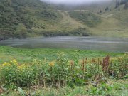 yolande_074