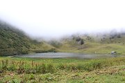 z_francois_03