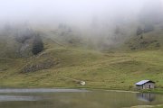 z_francois_04