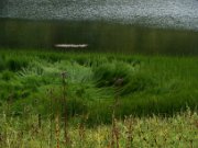z_laura-od_018