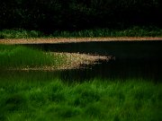 z_laura-od_023