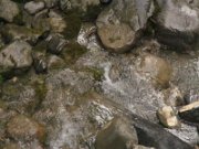 lucas_091