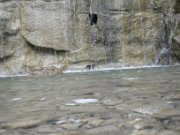 nedim_095