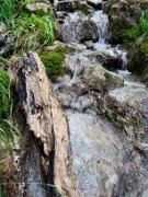 z_lauraO_063