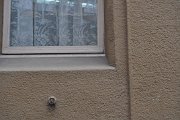 thomas_320