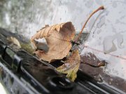 esaire_377