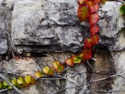 z_laura-od_122