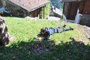 thomas_031