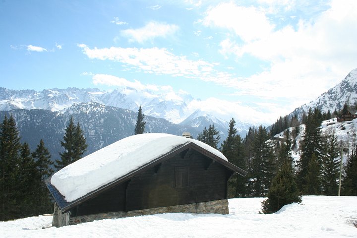 IMG_4950.JPG