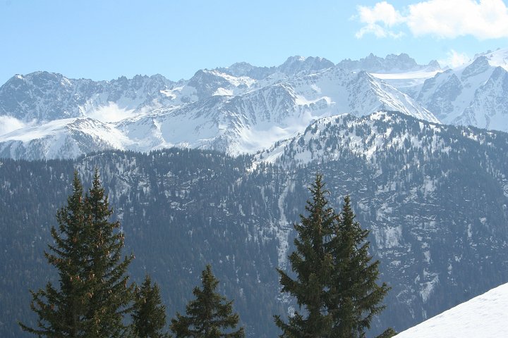 IMG_4952.JPG
