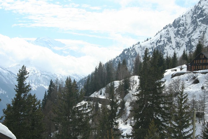 IMG_4955.JPG