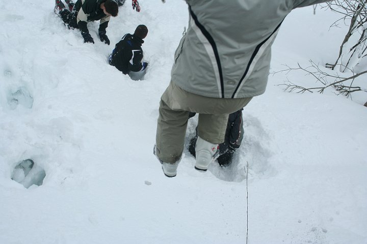 IMG_4977.JPG