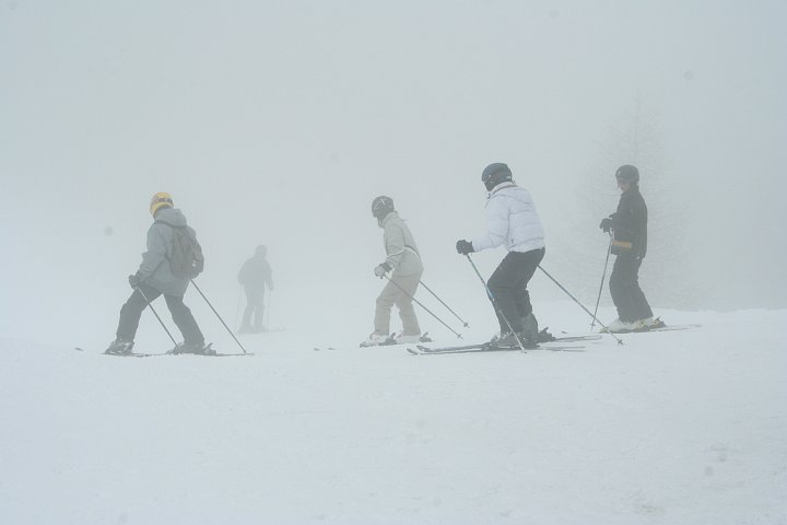 IMG_5008.JPG