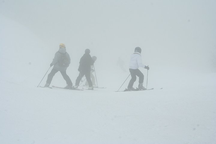 IMG_5009.JPG