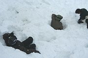 IMG_4974