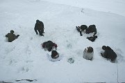 IMG_4979
