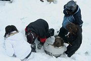 IMG_4985