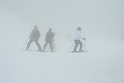 IMG_5009