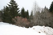 02_mars_078