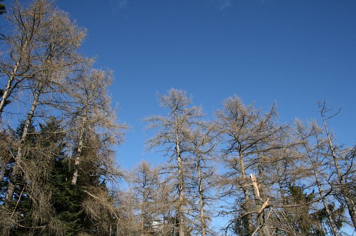 IMG_4369.JPG