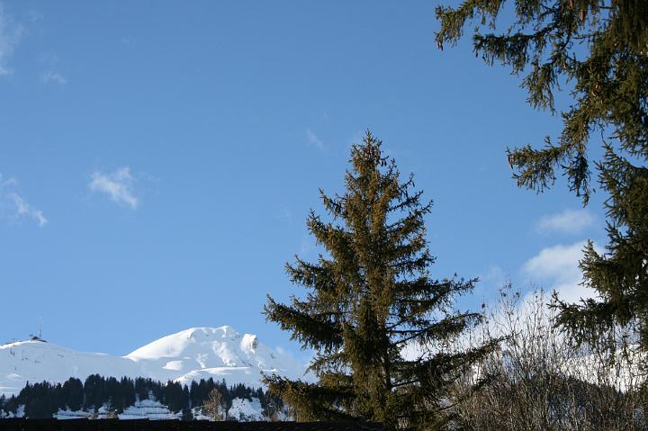 IMG_4374.JPG