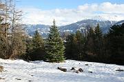 IMG_4353