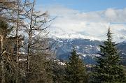IMG_4355