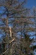 IMG_4366