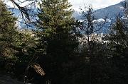 IMG_4368