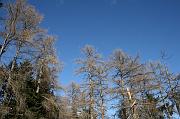 IMG_4369