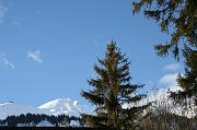 IMG_4374