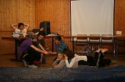 IMG_4711