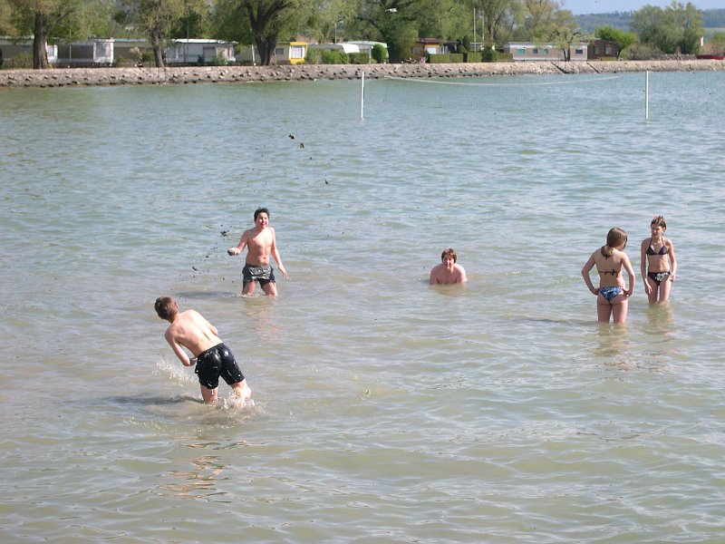 06.JPG