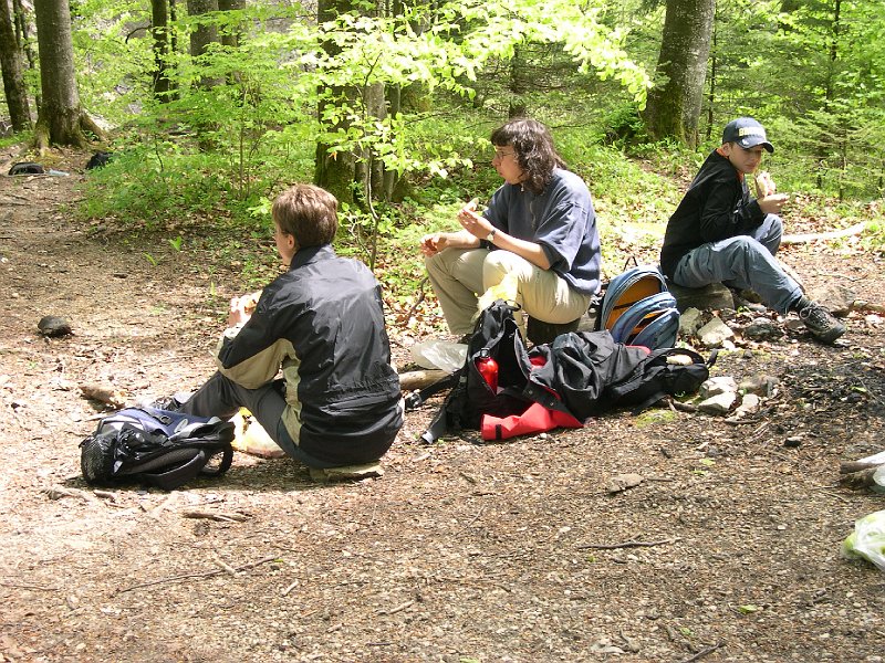 06.JPG