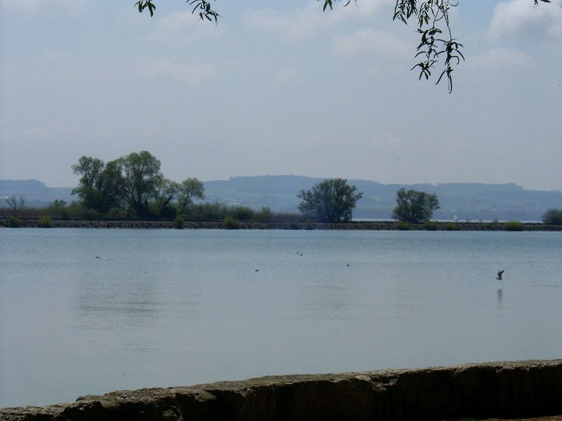HPIM2008.JPG