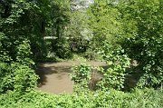 IMG_5533