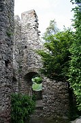 IMG_5549