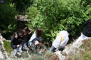 IMG_5552