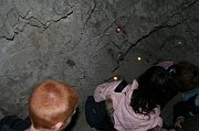 IMG_5567