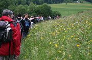 IMG_5571