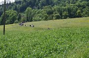 IMG_5572