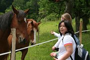 IMG_5575
