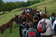 IMG_5600