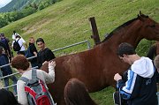 IMG_5601