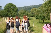IMG_6221