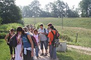 IMG_6225
