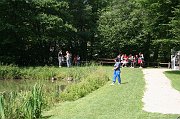 IMG_6229