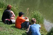 IMG_6231