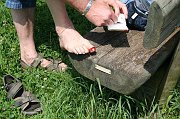 IMG_6238